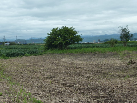 P1120251