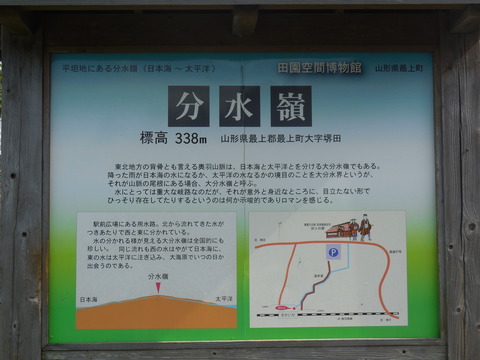 DSCN0878