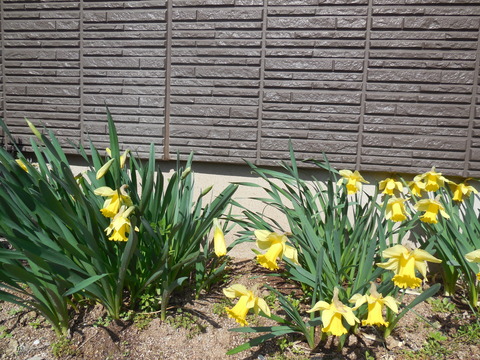 DSCN0608