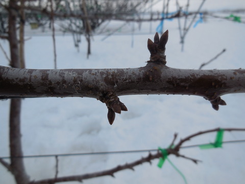 DSCN1044