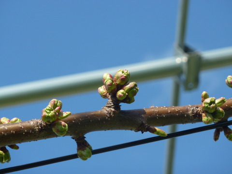 P1110886