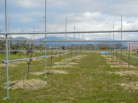 DSCN0669