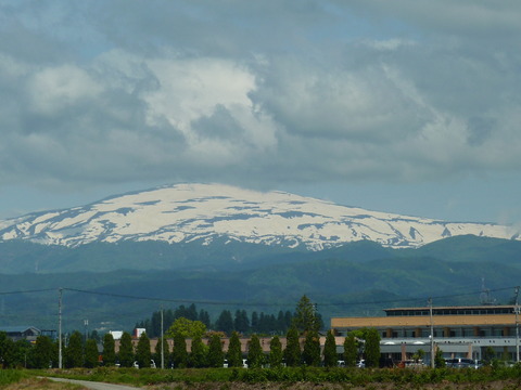 P1110968