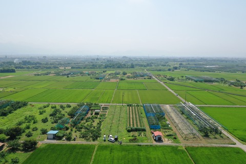DJI_0053