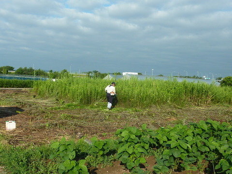 P1120067