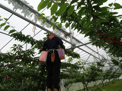 DSC00190