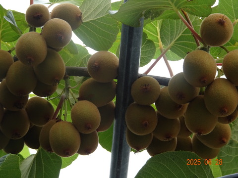 DSC01220