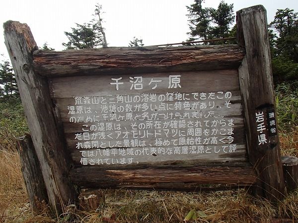 PA130039-1