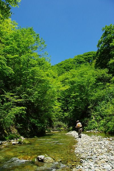 IMGP3315-1