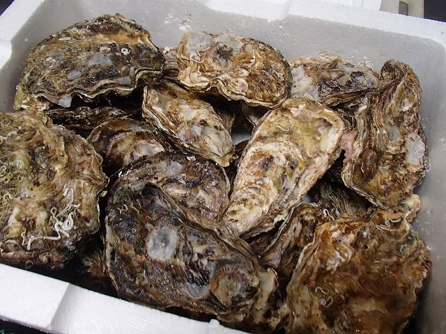 PC010003-1