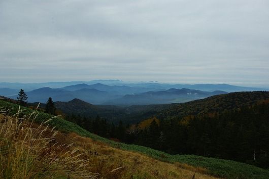 IMGP9753-1
