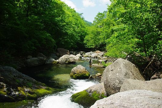 IMGP6160-1