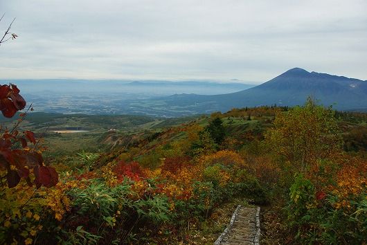 IMGP9727-1