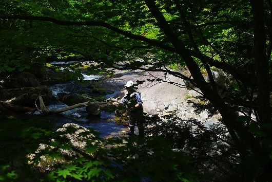 IMGP6156-1