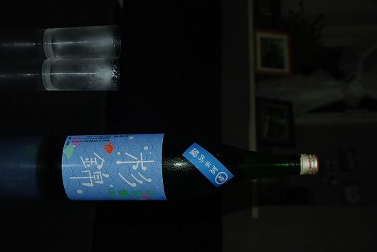 IMGP9102-1