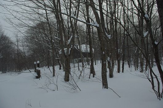 IMGP8012-1