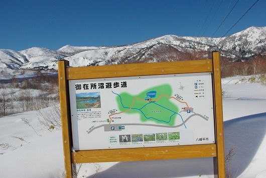 IMGP7922-1