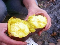 焼き芋