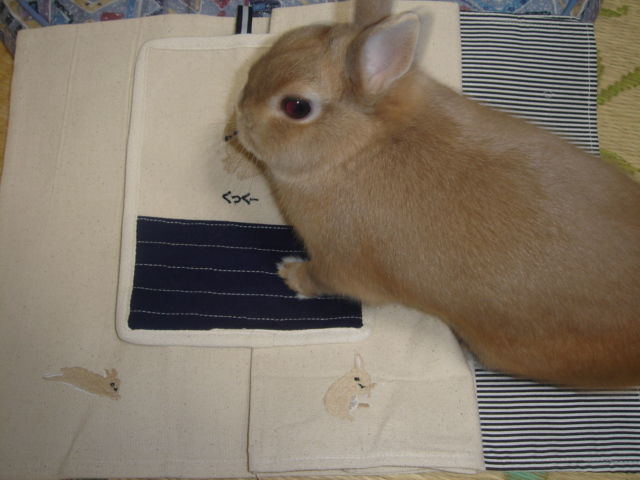 イメージ 2