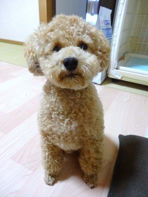 イメージ 2