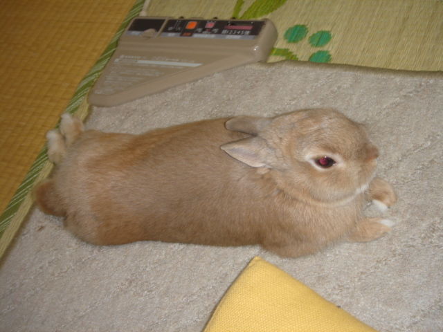 イメージ 2