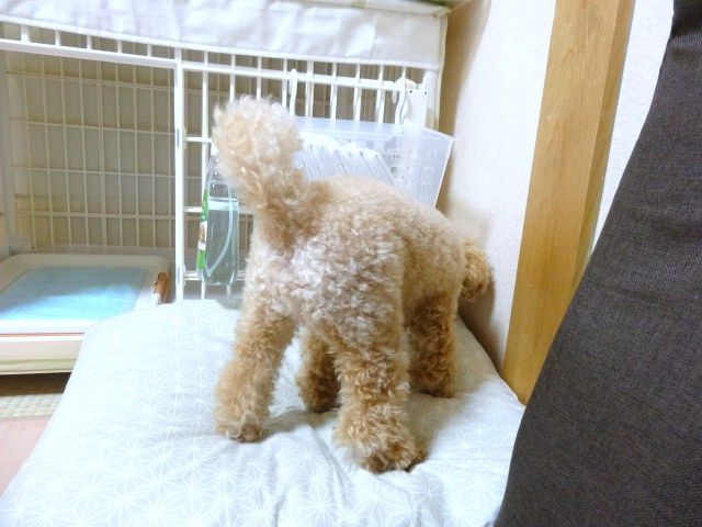 イメージ 3