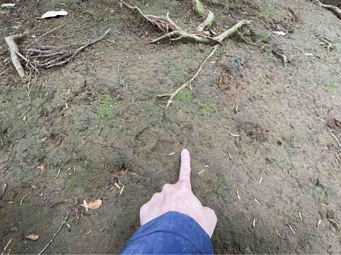 FullSizeRender