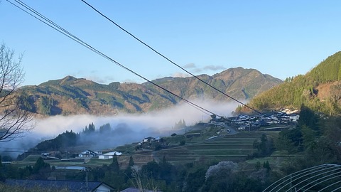IMG_8448