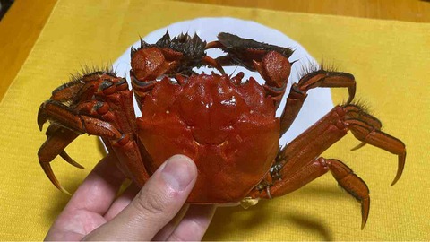 FullSizeRender
