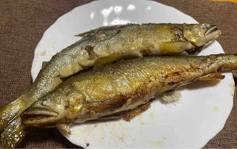 FullSizeRender