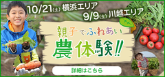 banner-600-200-v1_jpg