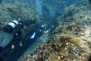 17560774956161133215567