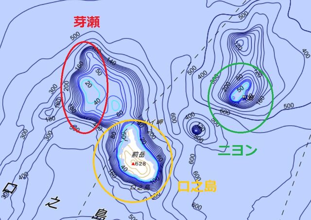 口之島周辺海域に住むタイガーシャーク考察 口之島ダイビングサービス最新情報