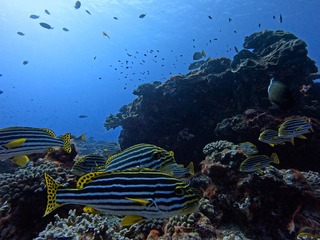 1758523410501-366687719