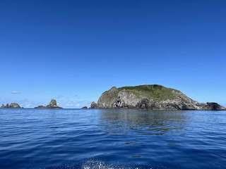 dc98ec16-4f0e-4484-8da2-79c38c6436fd