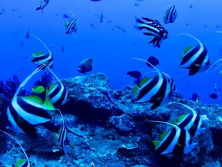 LINE_ALBUM_トカラ長江_251020_1