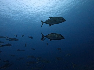 1758523393979-1725656646