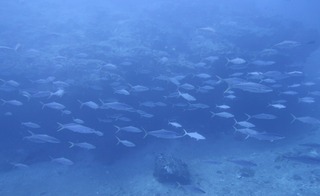 17579119324741798188125