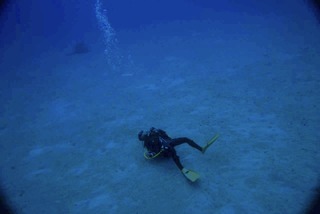 1756077517439-1244676686