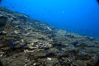 17560774774201490810981