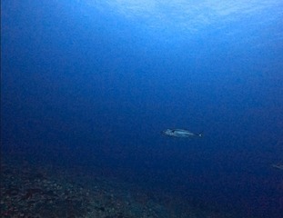 17567065857071852732135