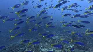 1757911911417-1093923588