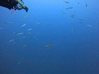 1758523287458-2028193547