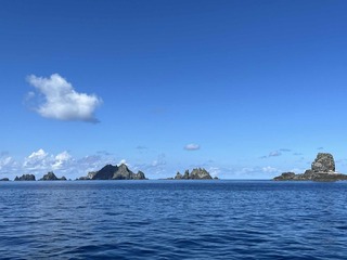 edb55d25-b995-4b61-b9af-fa91d9bb9a8f