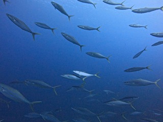 1758523381180-886725832