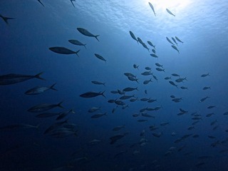 1758523361322-380923422