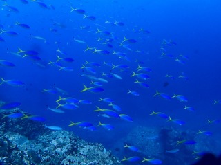 1757359070568-1166195156