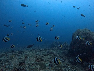 1758523427548152775221