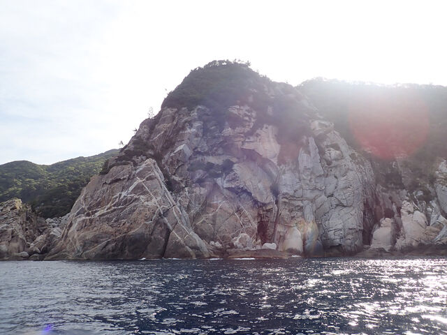 香合 外国？ タイ？ 伊万里 九谷 鍋島 伊万里鍋島焼 湯呑み