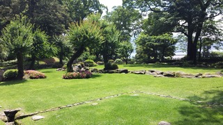 20150519_104856